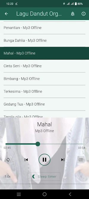 Dangdut Orgen Tunggal Offline Screenshot 2