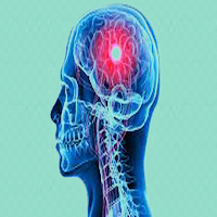 Anatomy and Physiology (Human)