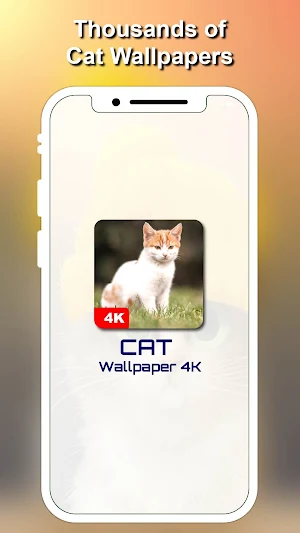 Cat & Cute Kittens Wallpapers 4K Screenshot 0