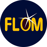 FLOM - Flash Light On Music