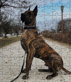 Dogs Jigsaw Puzzle Screenshot 1