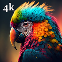 Parrot Bird Wallpapers