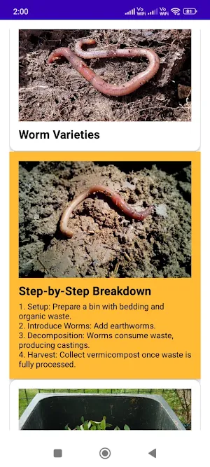 Vermi-composting: an overview Screenshot 2