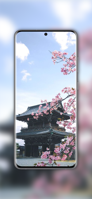 Japanese Aesthetic Wallpaper Screenshot 1