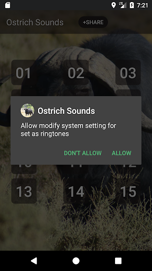 Buffalo & Bison Sounds Screenshot 2