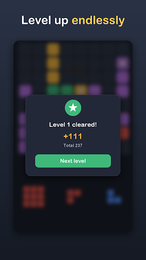 Block Infinity: Block Puzzle Screenshot 2