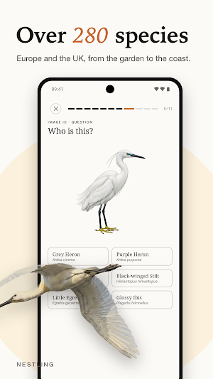 Nestling: Learn Birds Screenshot 1
