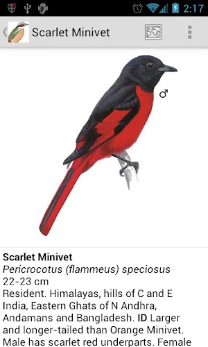 Birds of India Screenshot 2