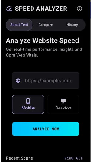 Website Speed Analyzer Screenshot 1