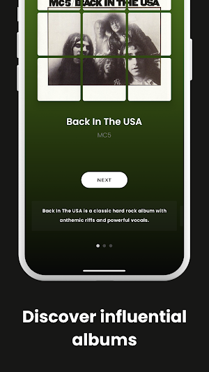 Reframe: Cover Shuffle Puzzle Screenshot 2