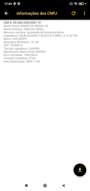 Consulta Cnpj - em lote Screenshot 2
