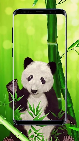 Panda Wallpapers Screenshot 2
