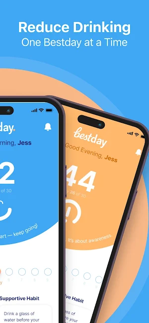 Bestday: Quit Drinking Screenshot 1
