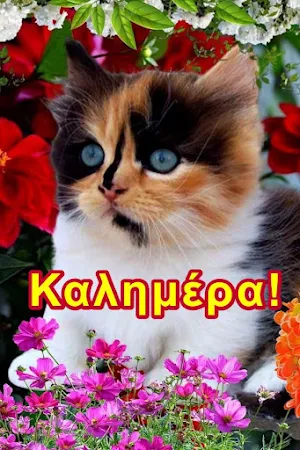 Καλημέρα Screenshot 2
