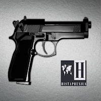 Gun - History