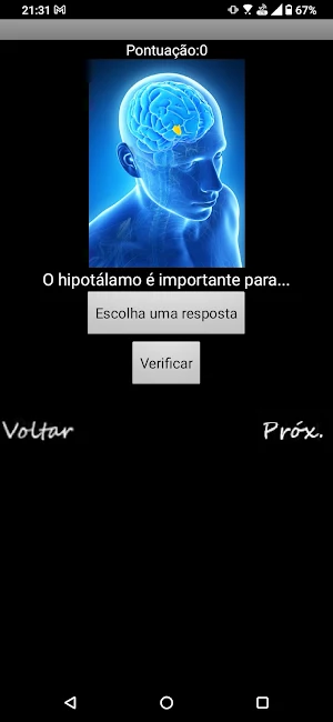 NeuroQuiz do GTED UFFS Screenshot 2
