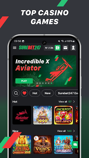 Surebet247 Screenshot 0