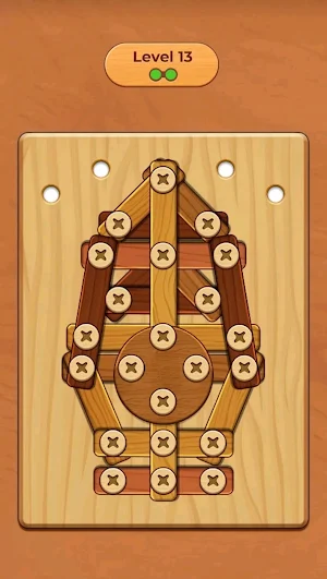 Screw Nuts Master Screw Puzzle Screenshot 3