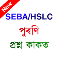 Class 10- SEBA/HSLC Question Paper 2013-2020