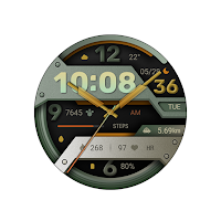 Dull Polish For Wear OS