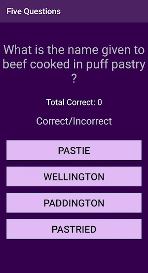 Five Questions Screenshot 2