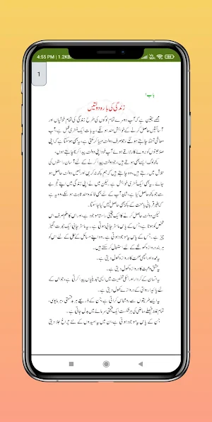 Think and Grow Rich in Urdu Screenshot 1