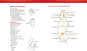 Qigong Meditation (YMAA) Dr.Yang, Jwing-Ming Screenshot 0