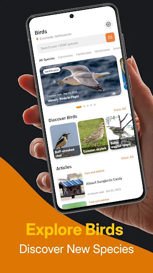 Bird Identifier: Species Guide Screenshot 2