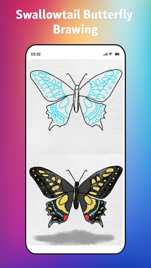 How to Draw Butterfly Screenshot 3