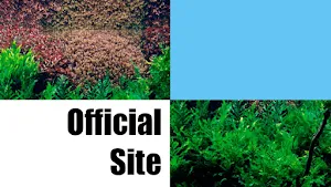 Web for Aquascape ADA Screenshot 2