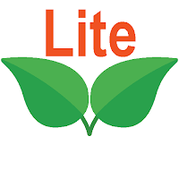 Mirror Lite