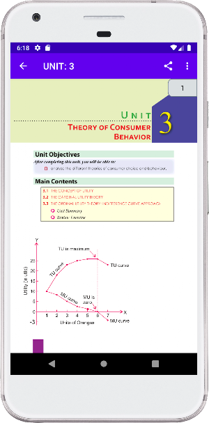 Economics Grade 11 Screenshot 3