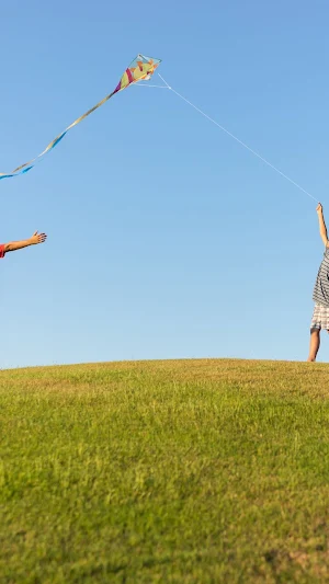 Kite Flying Wallpaper Screenshot 3