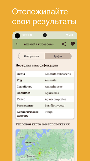 Опознавание грибов Screenshot 1
