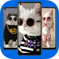 Wallpaper Cute cat 4K