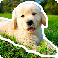 Dog Stickers