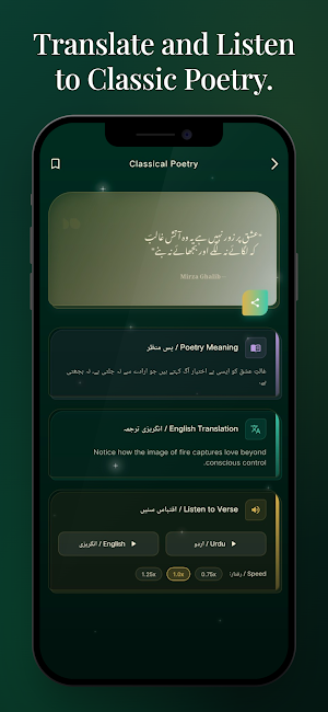Urdu Shayari Poetry | شاعری Screenshot 2