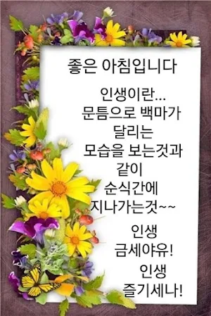 좋은 아침, 좋은 밤 Screenshot 1