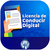 LICENCIA DIGITAL GTO