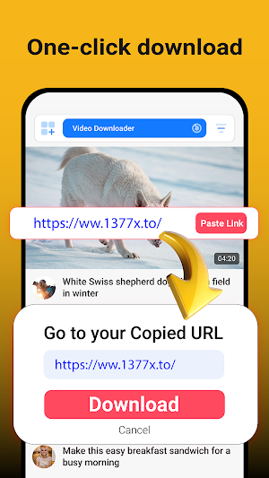 All Social Video Downloader Screenshot 0