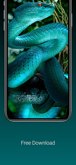 Cool snake wallpaper hd/4k Screenshot 1