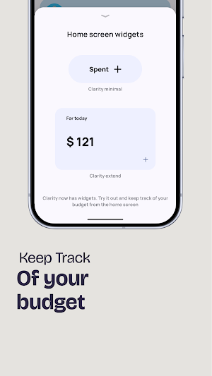 Clarity: Daily Budget Tracker Screenshot 3