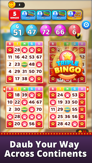 Bingo Magic Frenzy Screenshot 1