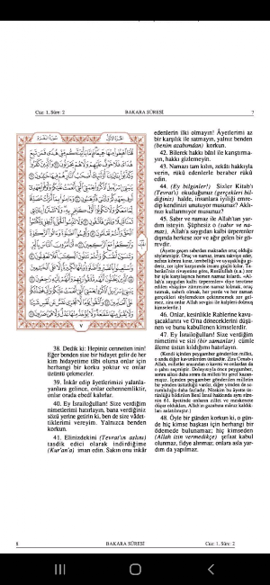 Kuran ve Türkçe Meali Screenshot 3