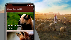 Sheep Sounds Screenshot 1