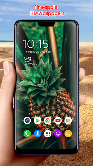 Pineapple HD Wallpapers Screenshot 3