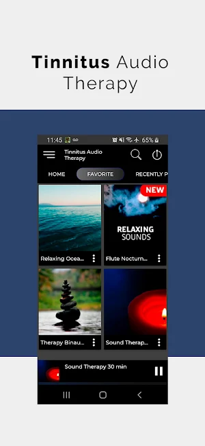 Tinnitus Audio Therapy Screenshot 2