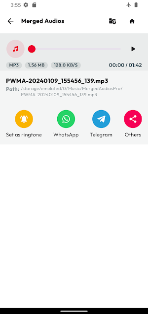 Audio Files Merge Screenshot 3