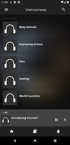 Fast - Speak Vietnamese Language Screenshot 3