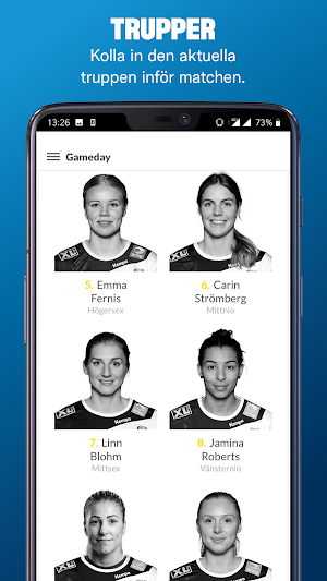 Gameday – Svenska Handbollslandslaget Screenshot 3